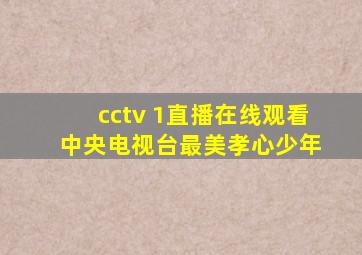 cctv 1直播在线观看 中央电视台最美孝心少年